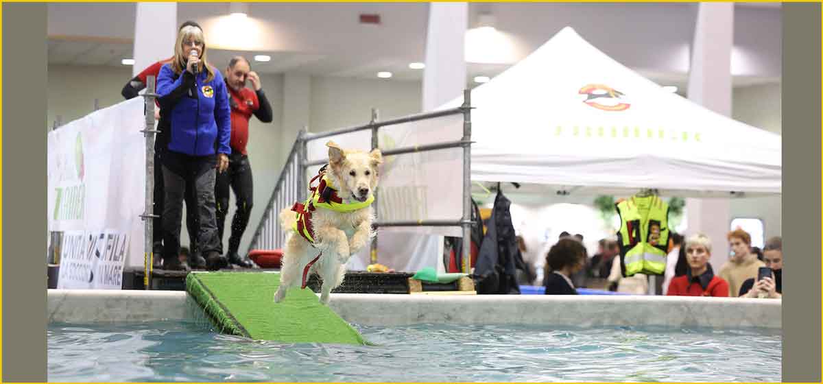 Pet-Friendly il Grande Festival un tuffo in piscina